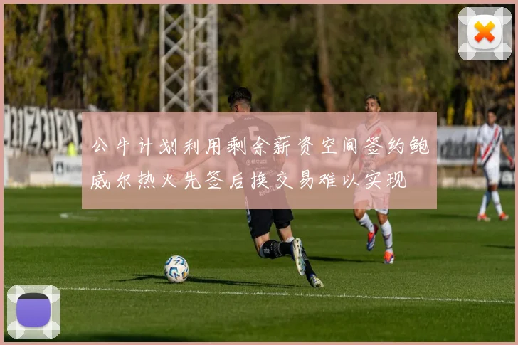 公牛计划利用剩余薪资空间签约鲍威尔热火先签后换交易难以实现